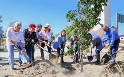 Forestarán Baja California con 30 mil árboles antes de concluir este 2022