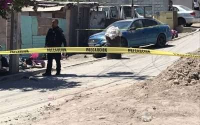 Investiga FGE muerte de menor tras supuesto ataque de perro en Tijuana