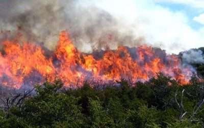 Llama Dirección de Bomberos a prevenir incendios forestales
