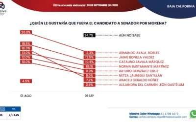 Sigue Armando Ayala siendo preferencia para senador: Massive Caller