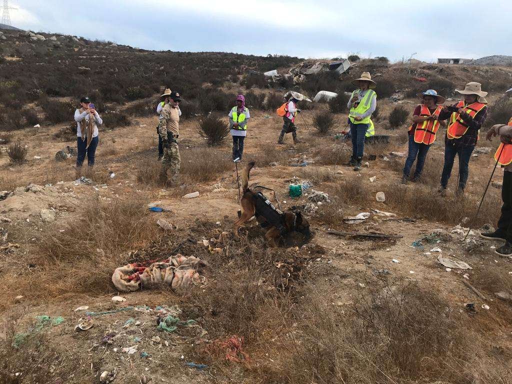 búsqueda de desaparecidos