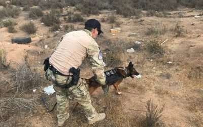 Realizan FGE y colectivos, búsquedas coordinadas de personas desaparecidas