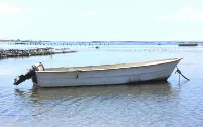 Llaman al sector pesquero de BC a estar prevenidos por avance de «Huracán Kay»