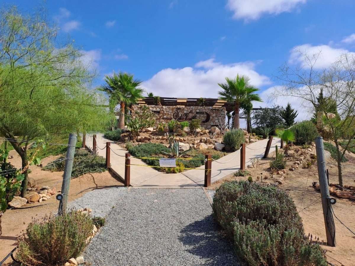 suspensión negocios valle 