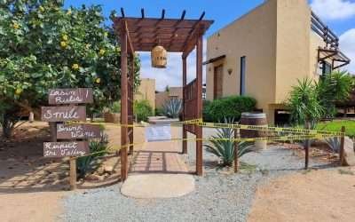 Suspende SMADS actividades de dos negocios del Valle de Guadalupe