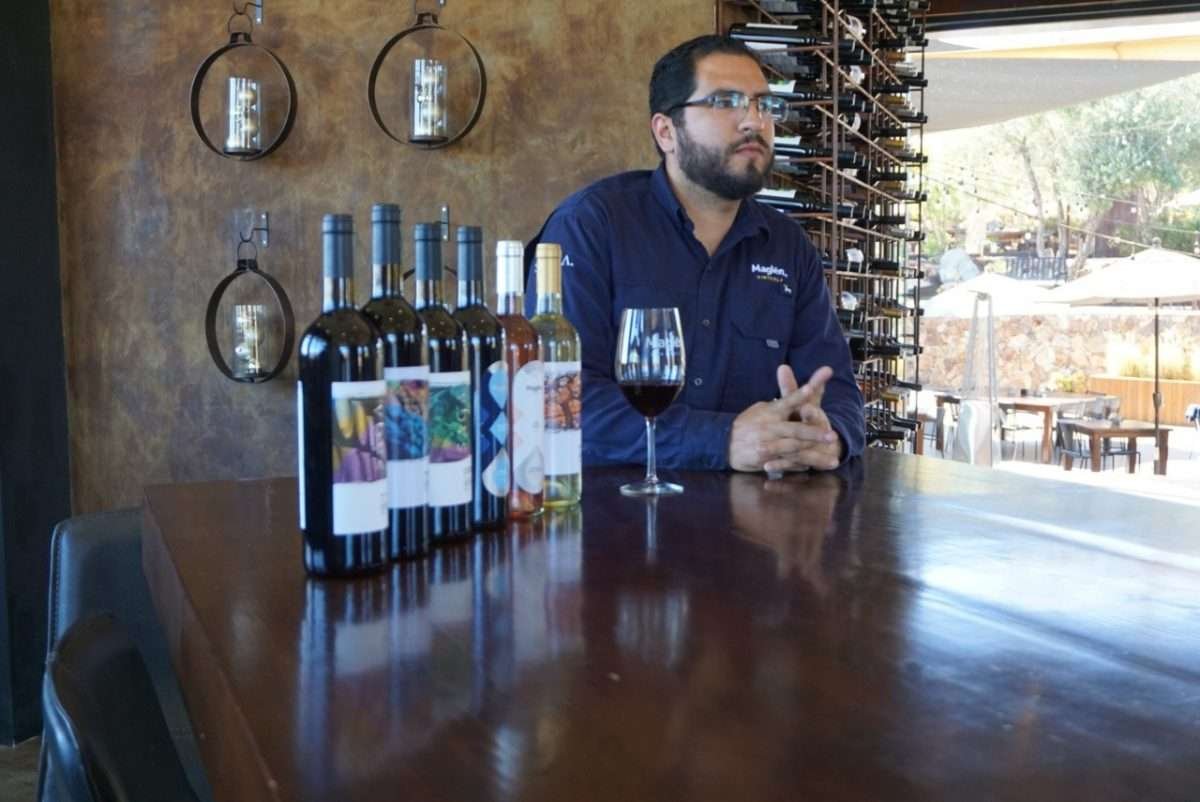 vinos baja california