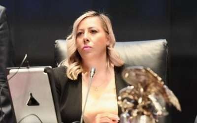 Exigimos presupuesto para la seguridad, rechazamos militarización: Lizbeth Mata