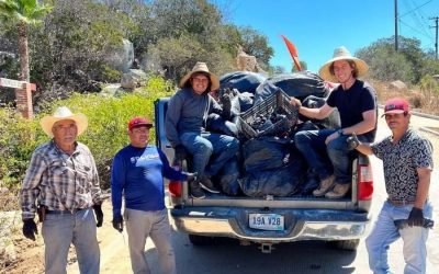 Participan 150 empresas en limpieza del Valle de Guadalupe
