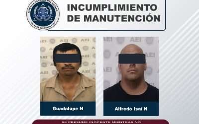Aprehende AEI a dos hombres por incumplir con manutención de sus hijos