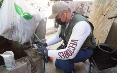 Instalan más de mil ovitrampas en Ensenada para identificar mosco transmisor de enfermedades