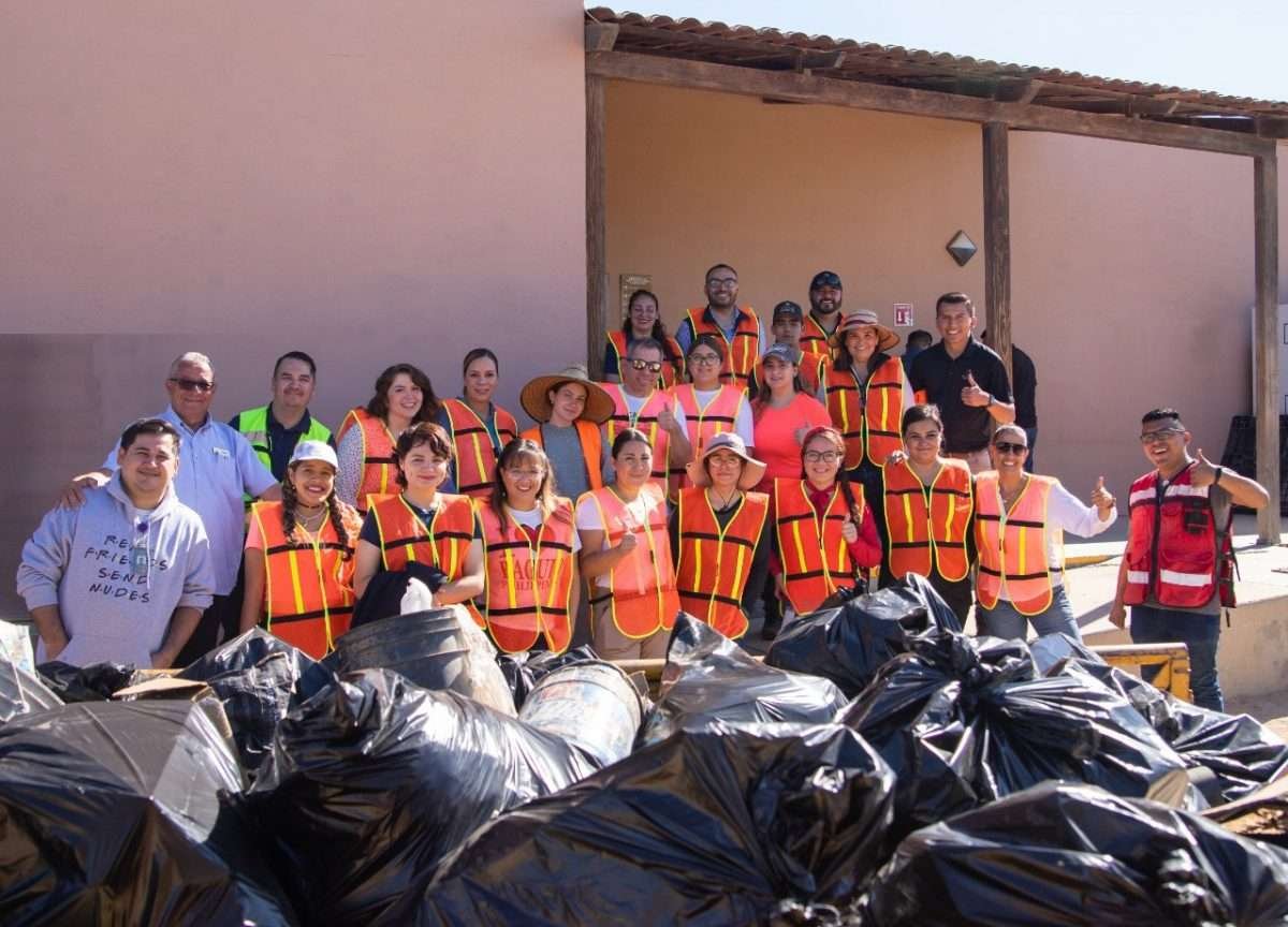 limpieza valle de guadalupe