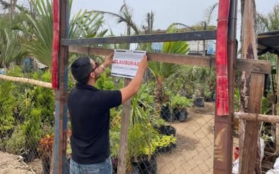 Suspende Ecología y Medio Ambiente actividades de «Vivero El Sauzal»