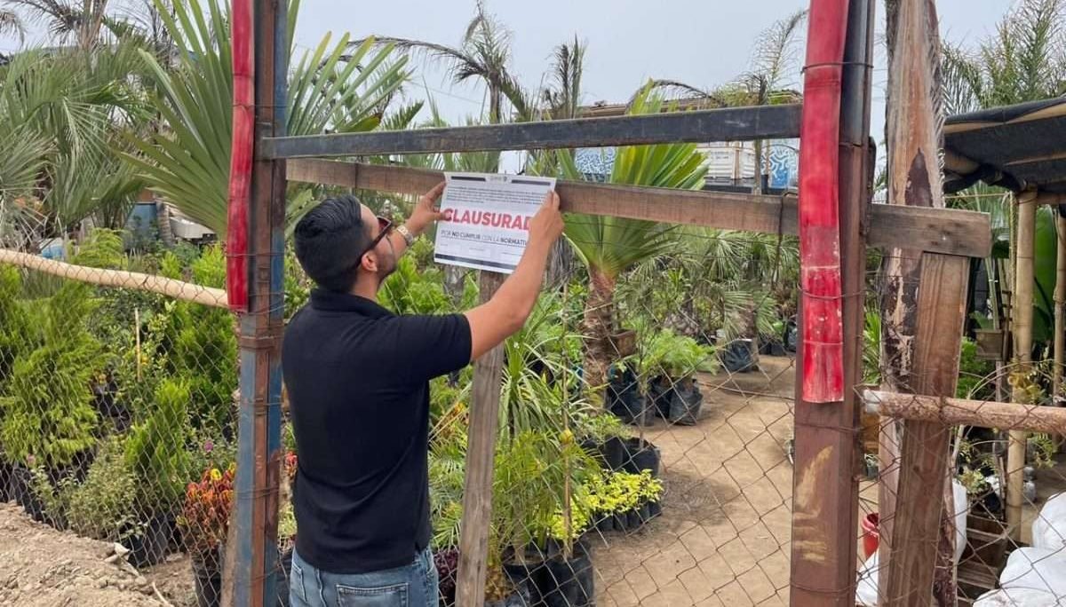 suspenden vivero ensenada