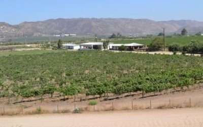 Tendrá Valle de la Trinidad dos nuevos pozos de agua para uso agrícola