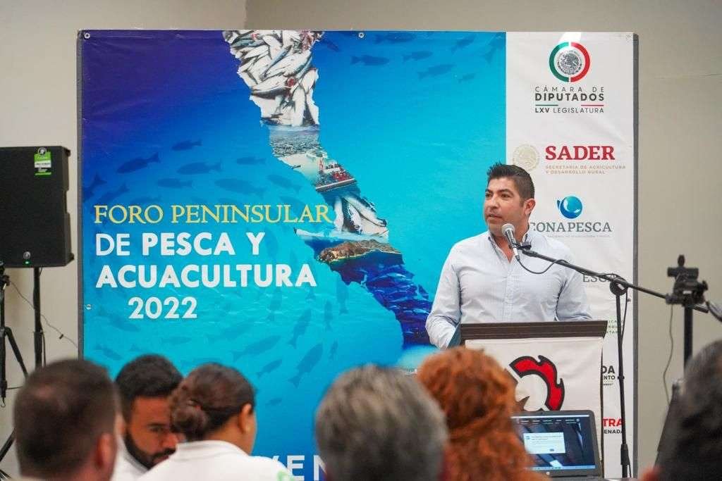 Armando Ayala Robles