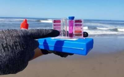 Muestreo en Playas de Ensenada avala su uso recreativo