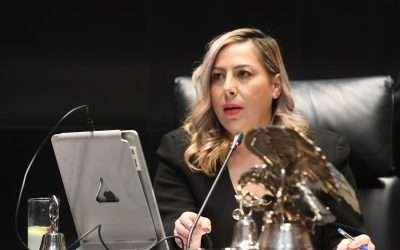 Presentará PAN «Plan Alivio» en la Cámara de Diputados: Lizbeth Mata