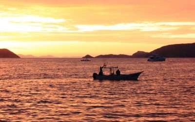 Ofrece Gobierno Estatal 2mdp en microcréditos para pescadores y acuacultores