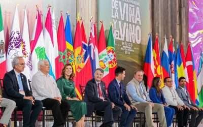 Celebra Armando Ayala ubicación de Ensenada como 2do lugar mundial en vino