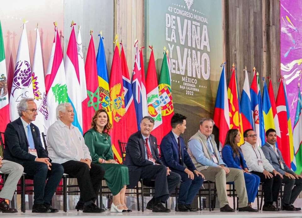 Armando Ayala Robles