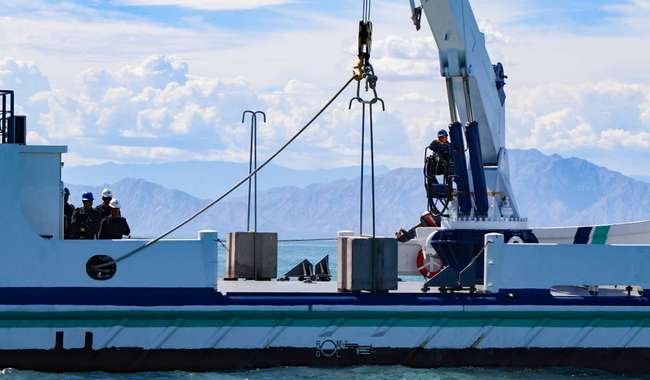 bloqueo vaquita marina