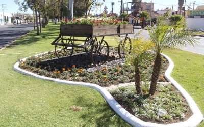 Tiene Ensenada 70 espacios verdes apadrinados por la comunidad