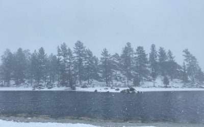 Busca Protección Civil a personas extraviadas en Sierra de Juárez