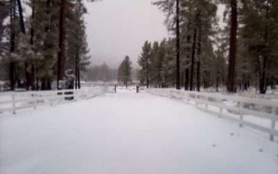 Probabilidad de nevadas en Baja California: Protección Civil