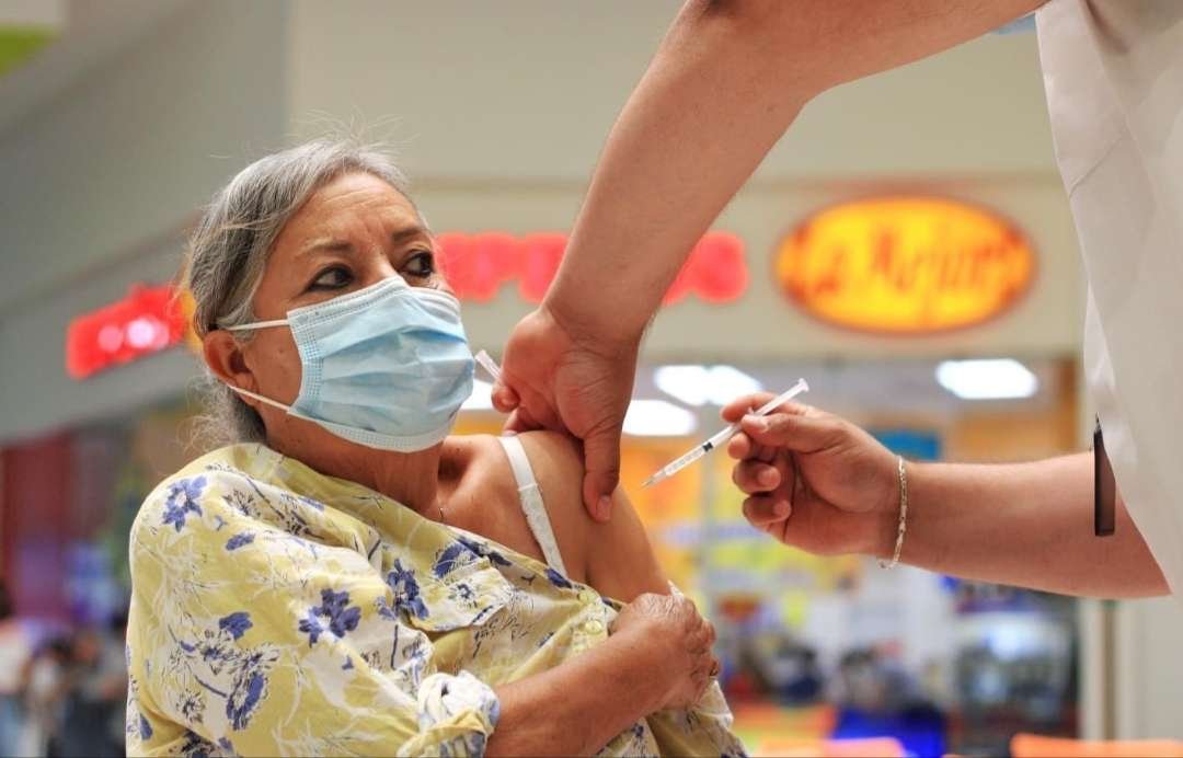 Vacunación adultos mayores 