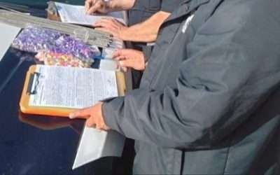 Decomisan Bomberos 80 kilos de juegos pirotécnicos