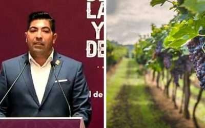 Necesario priorizar vocación agrícola del Valle de Guadalupe: AAR