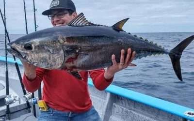 Anuncia SEPESCA 1er Torneo Internacional de Pesca Deportiva ¨Baja Bluefin Tuna Tournament 2023¨