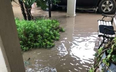 Viviendas inundadas y derrumbes en carreteras, principales incidentes por lluvias en delegaciones de Ensenada