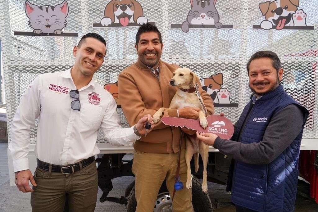 adopción de mascotas