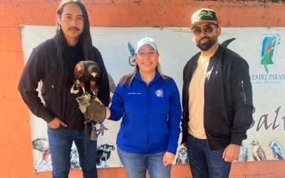 Gestionará Diputada Lizbeth Mata recursos para Contacto Salvaje