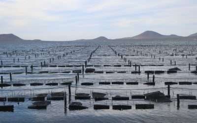 Trazan SECTURE y SEPESCA la ¨Ruta del Mar¨ para la reactivación económica