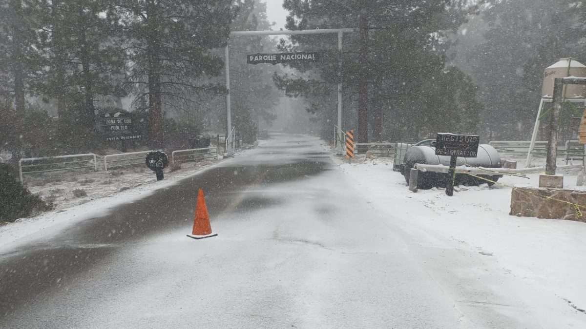 sierra de san pedro mártir