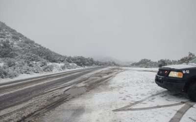Piden autoridades a la población no acudir a Sierra de Juárez ni a San Pedro Mártir