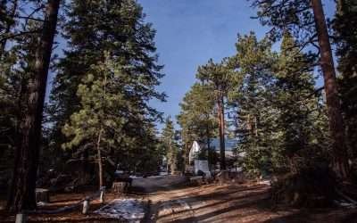 Fortalecen estrategias para prevenir y atender incendios forestales en Sierra de San Pedro Mártir