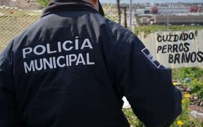 Resguardan autoridades a 24 perros tras ataque a estudiante