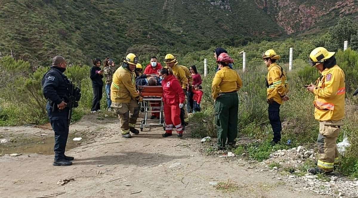 cascada Bosque Attenautas