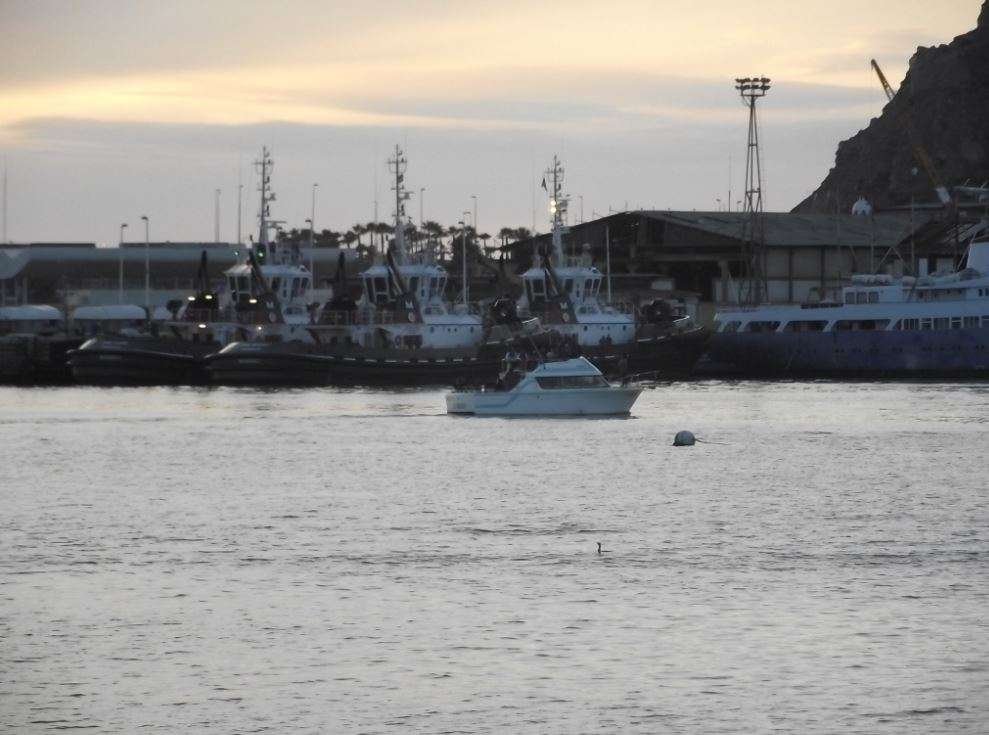 Aviso capitanía de puerto 