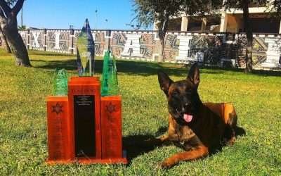 Reconoce SSCBC a ¨Beto¨, condecorado agente K9 fallecido