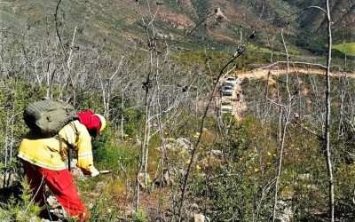 Realiza SADER limpieza en Bosque de los Attenuatas para prevenir incendios forestales
