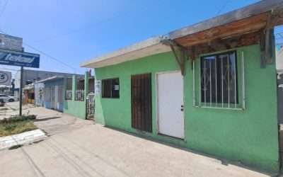 Atendió Gobierno de Ensenada denuncia de maltrato animal: AAR