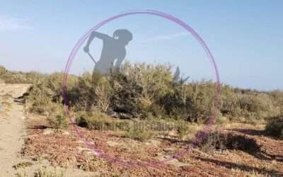 Localiza cadáver Colectivo ¨Madres Buscadoras de San Quintín¨