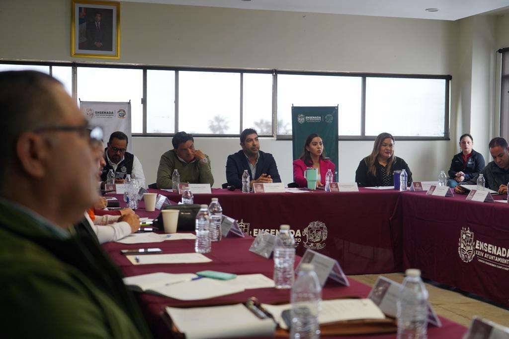 Mesa Interinstitucional análisis  Escénica