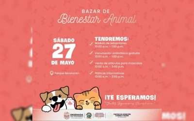 Invita Ecología Municipal a 2do Bazar Bienestar Animal