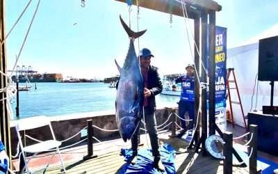 Arrancó el 1er Torneo de Pesca Deportiva ¨Baja Bluefin Tuna Tournament¨