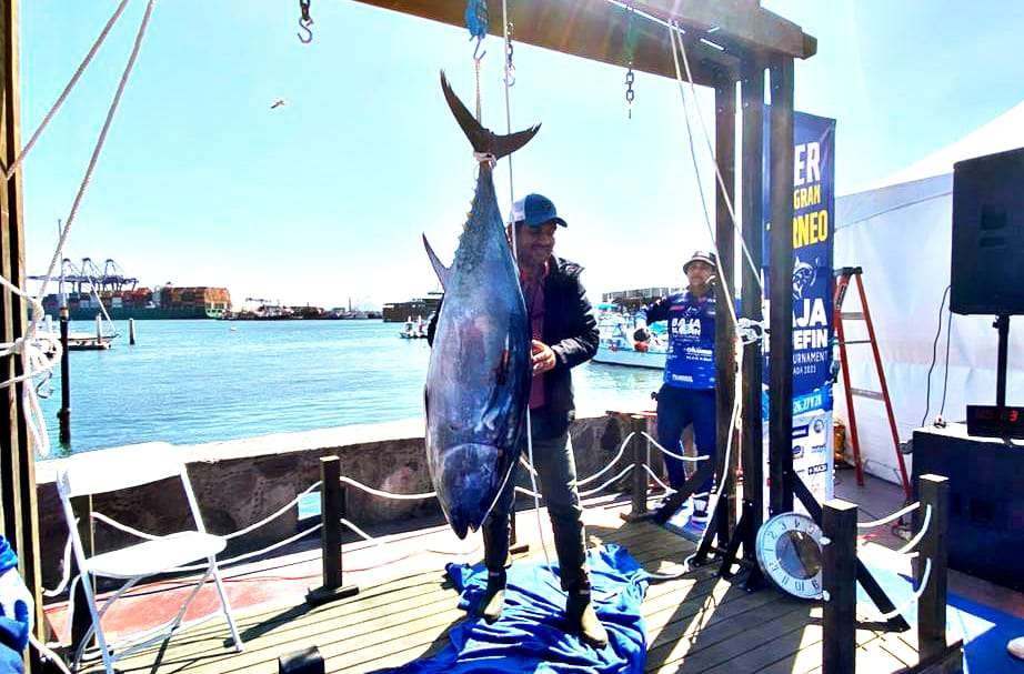 pesca bala bluefin tuna